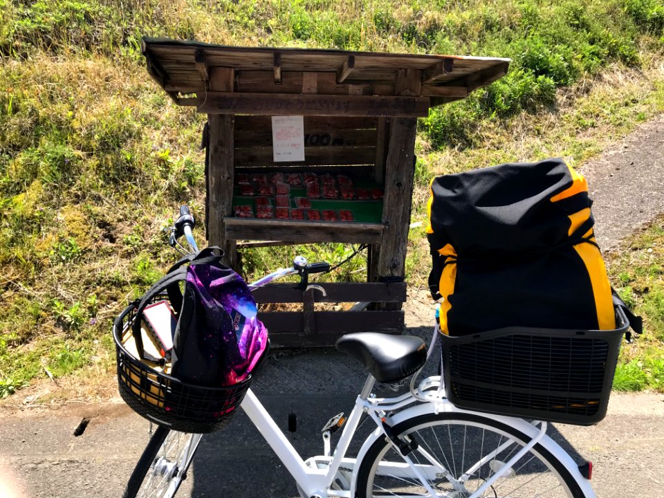 Roadside Fruits Stall