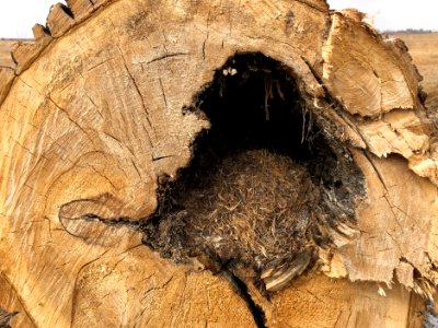 Making a Home Where One Can