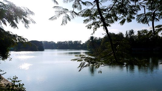 Winter Bangalore Lake photo