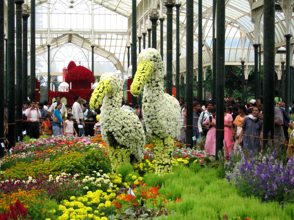 Bangalore Flower Show 2007
