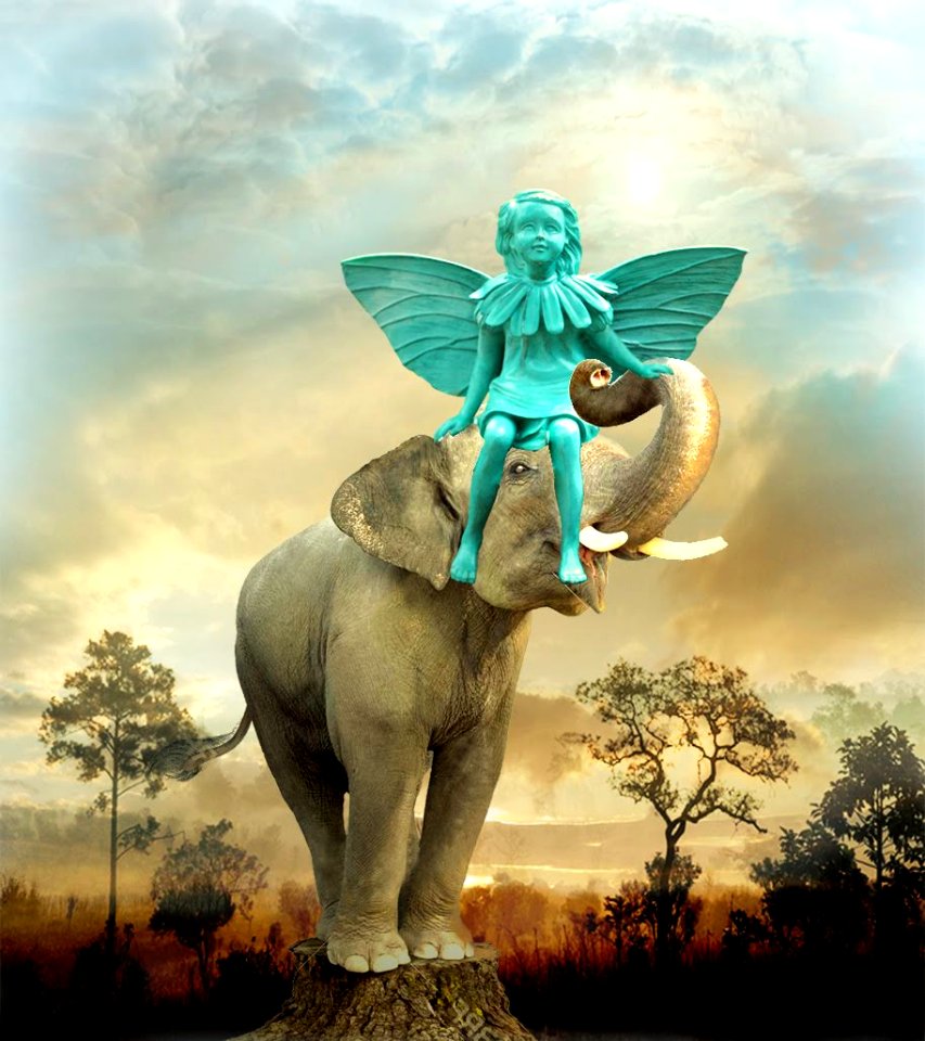 Walk in the savanna