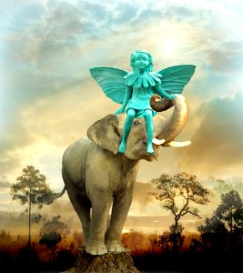 Walk in the savanna
