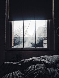 Interior bed indoor