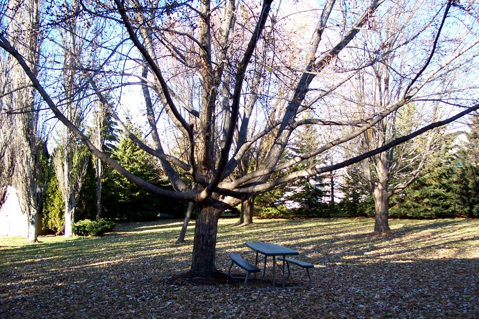 Apartment park