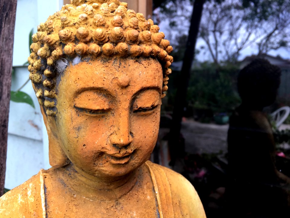 2017/365/331 Bhudda and Buddy