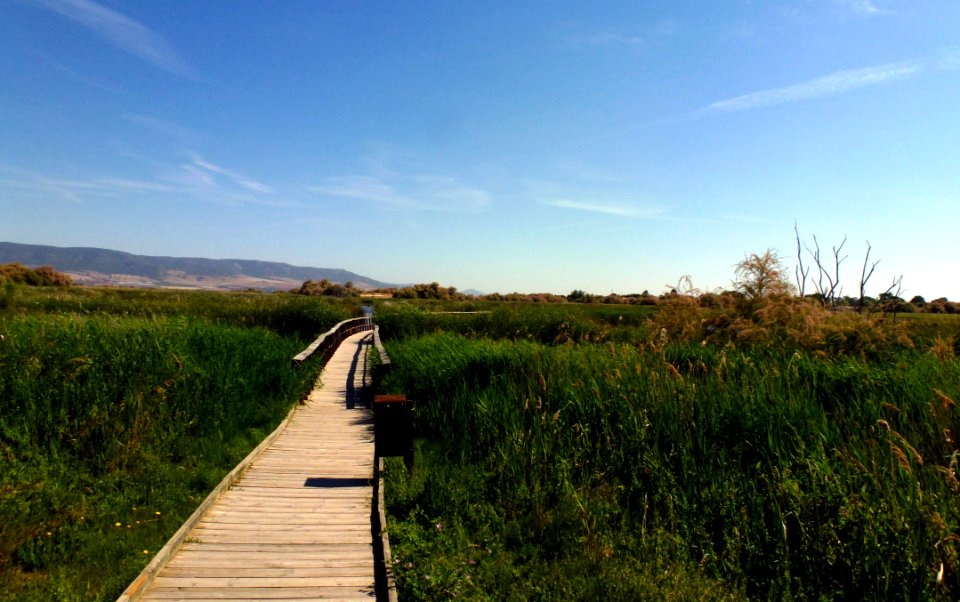 TABLAS DE DAIMIEL, (CIUDAD REAL). SPAIN.