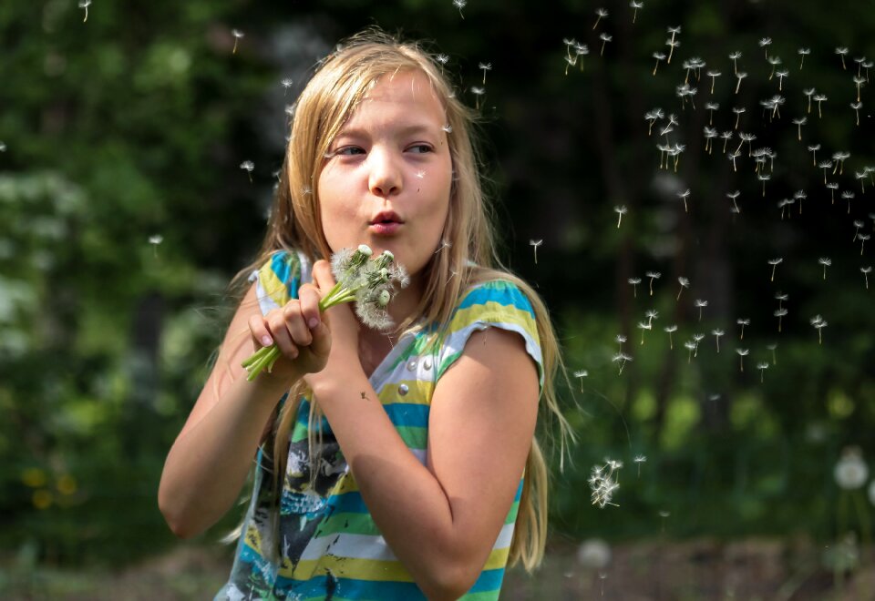 Girl dandelion blow