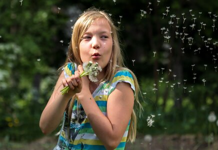 Girl dandelion blow photo