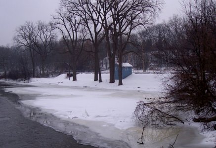 Ducks in Winter photo
