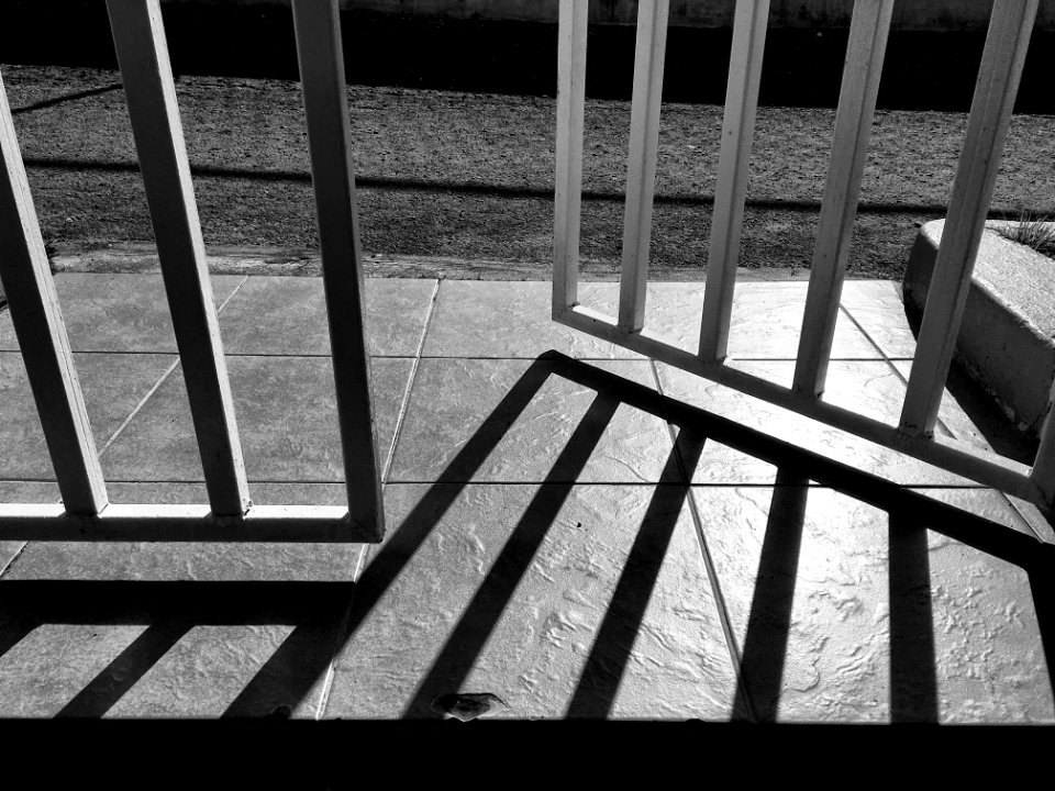 2016/366/41  Free to Leave