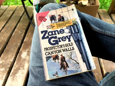 2020/366/158 Finally Finished a Novel!