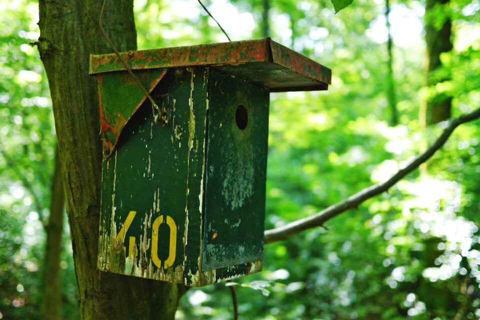 Cottage nesting place nesting box
