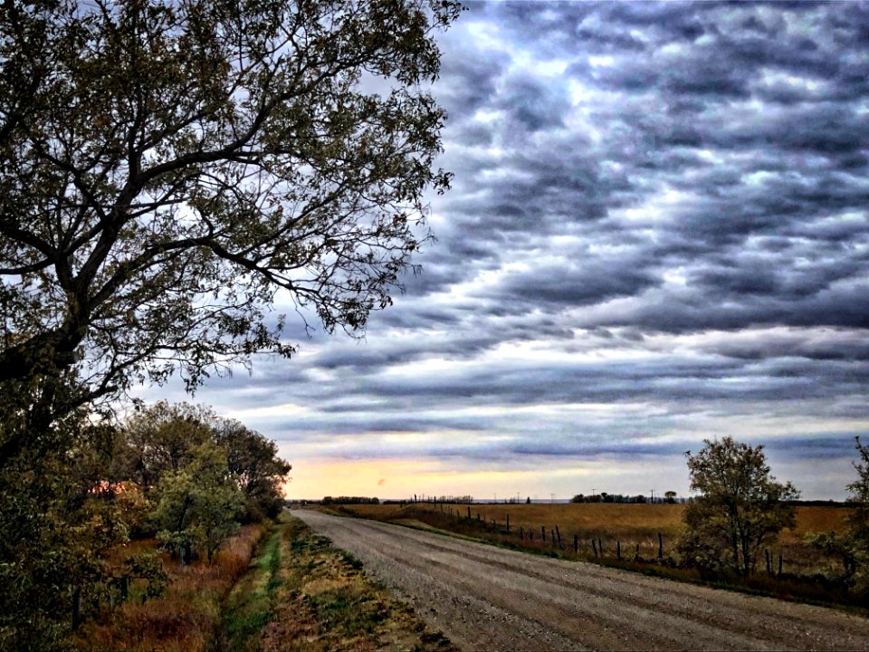 2020/366/255 So Real Skies