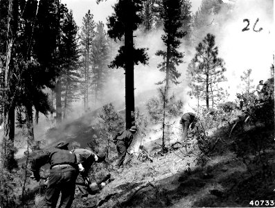 407336-ccc-fighting-fire 22736688396 o