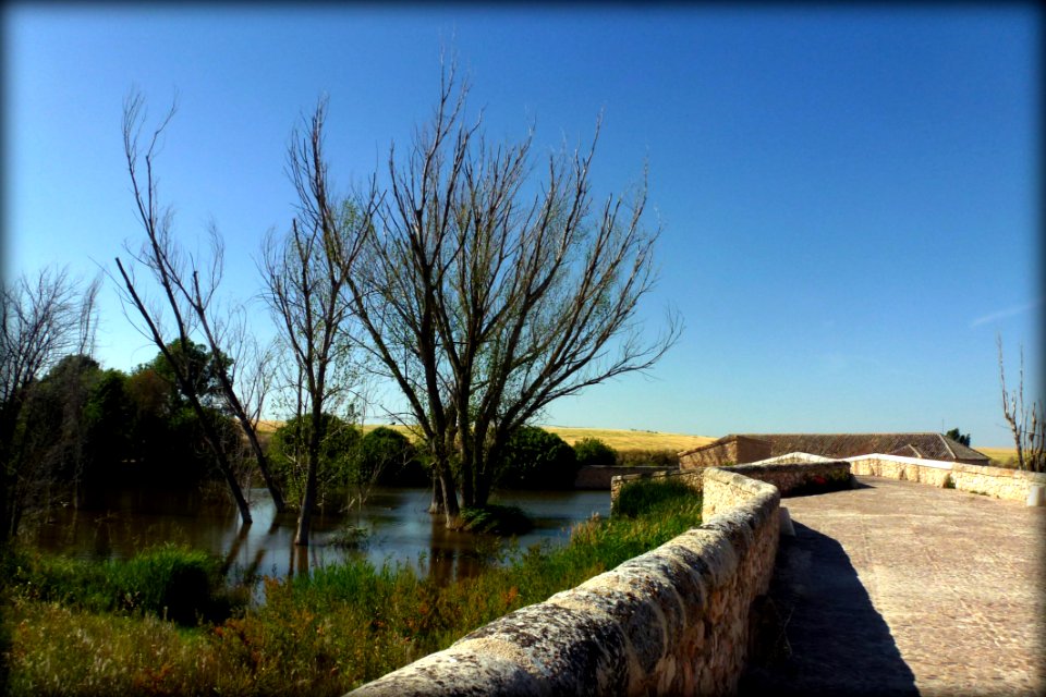 TABLAS DE DAIMIEL, (CIUDAD REAL). SPAIN.
