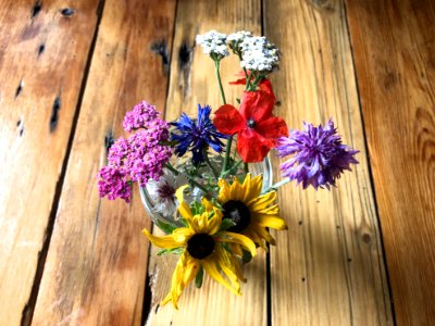 Maybe The Last Flowers