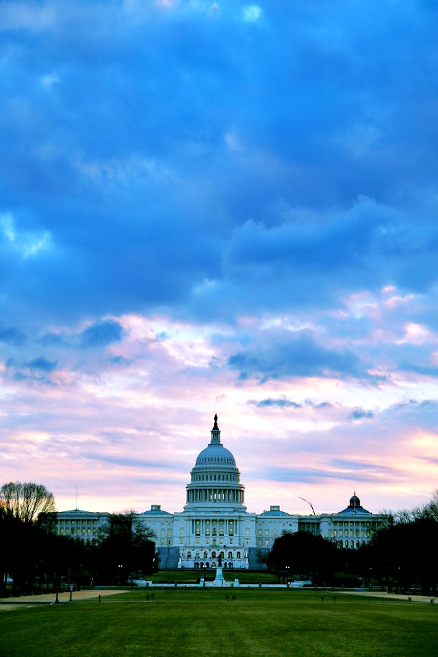 Capitol Morning