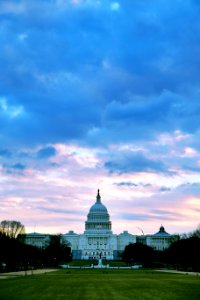 Capitol Morning