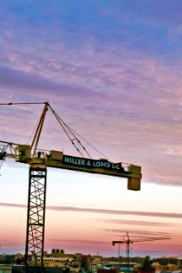 Cranes & Sky