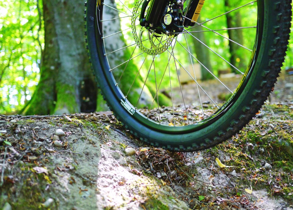 Wheel activity sport