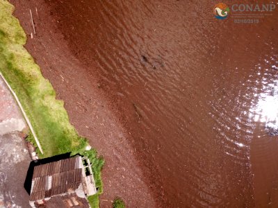 DJI 0029 copy