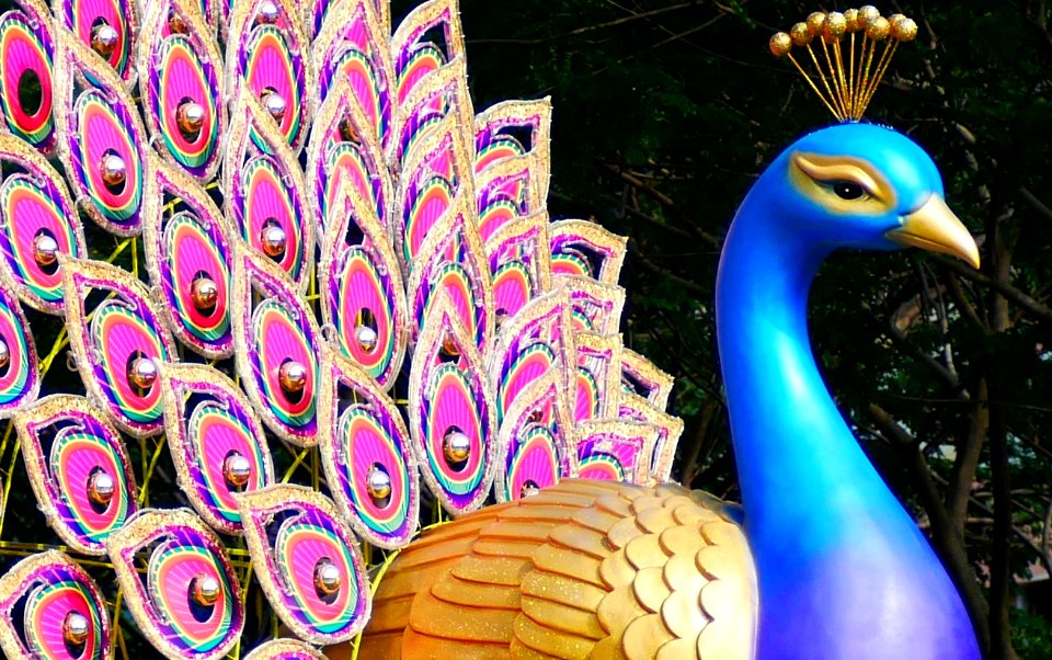 Deepavali lightup - peacock display photo