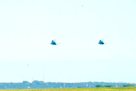 20200423-APHIS-LSC-1045