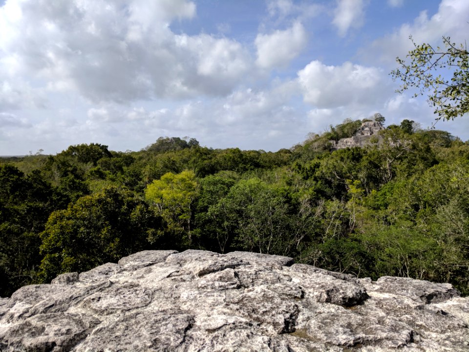 Canopy View at Calakmul