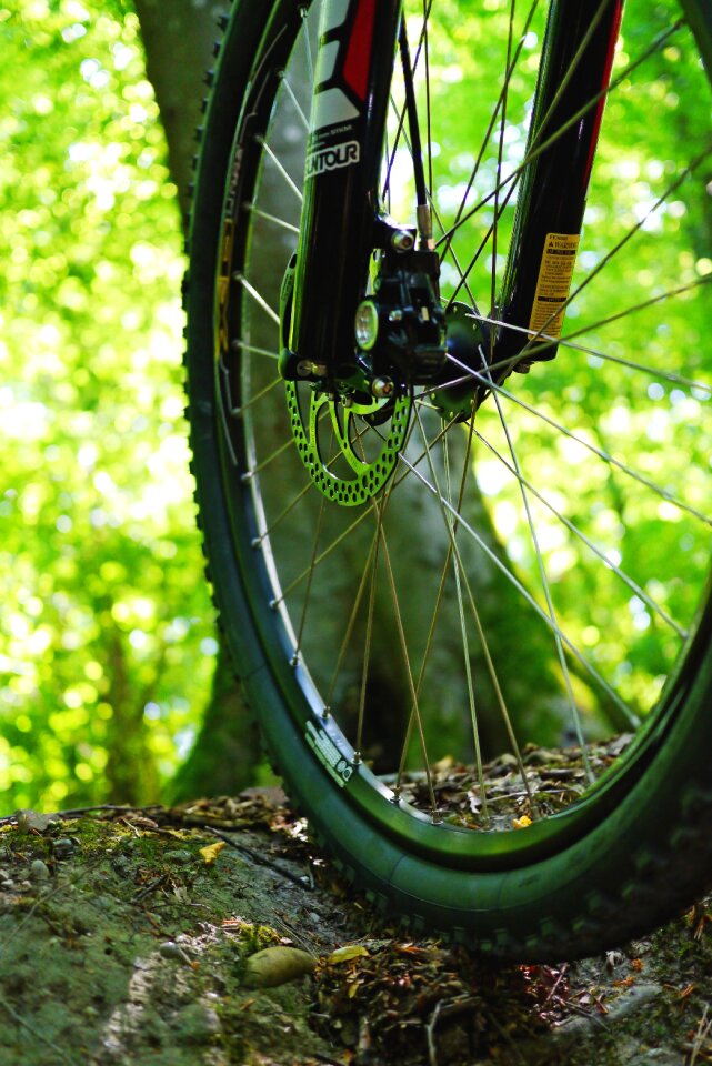 Wheel activity sport