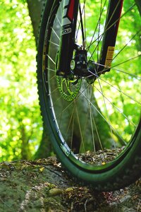 Wheel activity sport