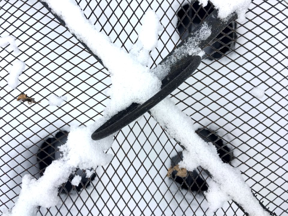Snow on the Network