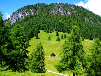 Alpine idyll pasture