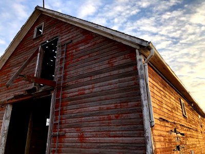 2021/365/115 Barn It! photo