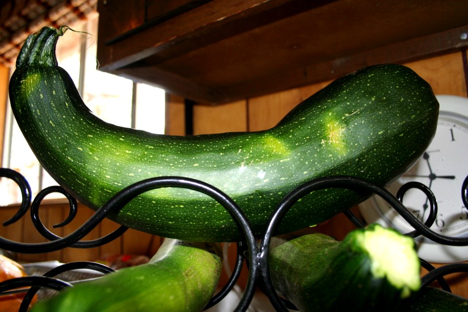 The Zucchini King