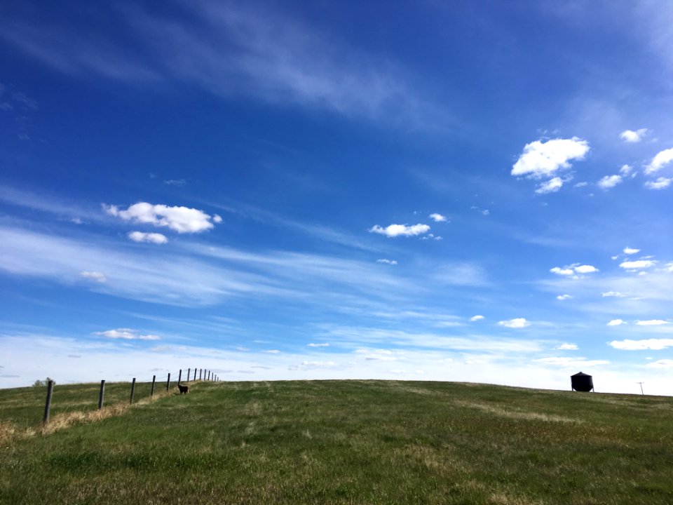 2019/365/139 Sky and Field Meet