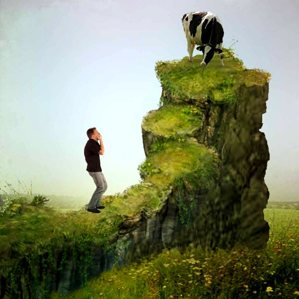 Get down from there, Malhada