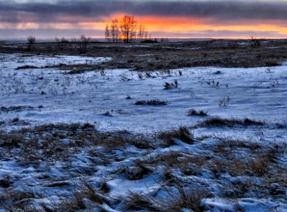 2019/365/314 These Gentle Wide Open Prairie Moments photo