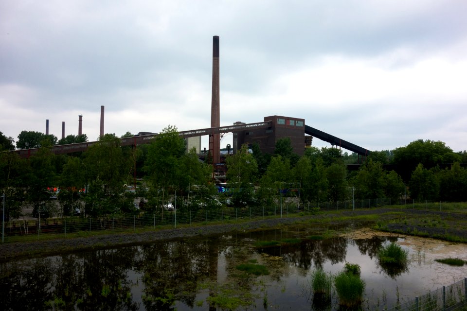DSC08807