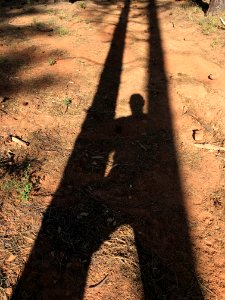 Suspended in Shadows