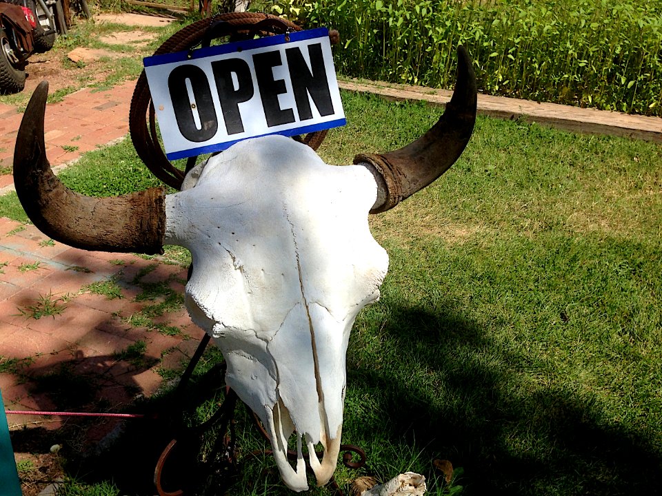 Open as in Steer Skull