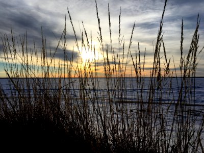 Goodnight Frozen Lake