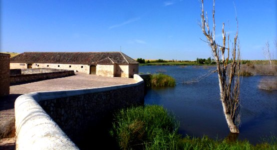 TABLAS DE DAIMIEL, (CIUDAD REAL). SPAIN.