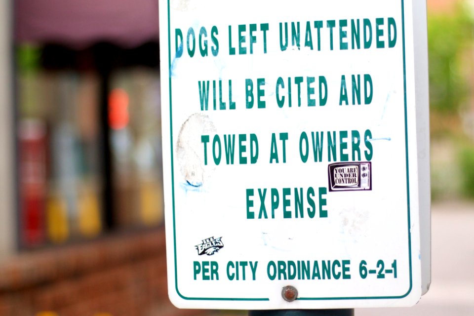 No Unattended Dogs in Flagstaff