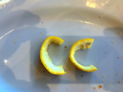 Creative Fruit Peel Commons