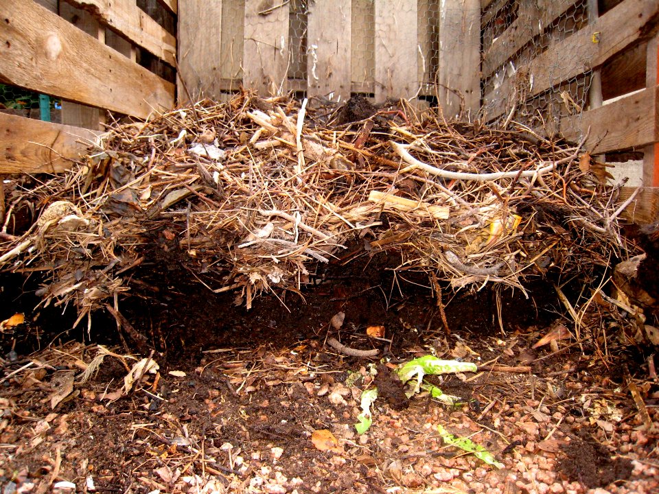Harvesting the Compost