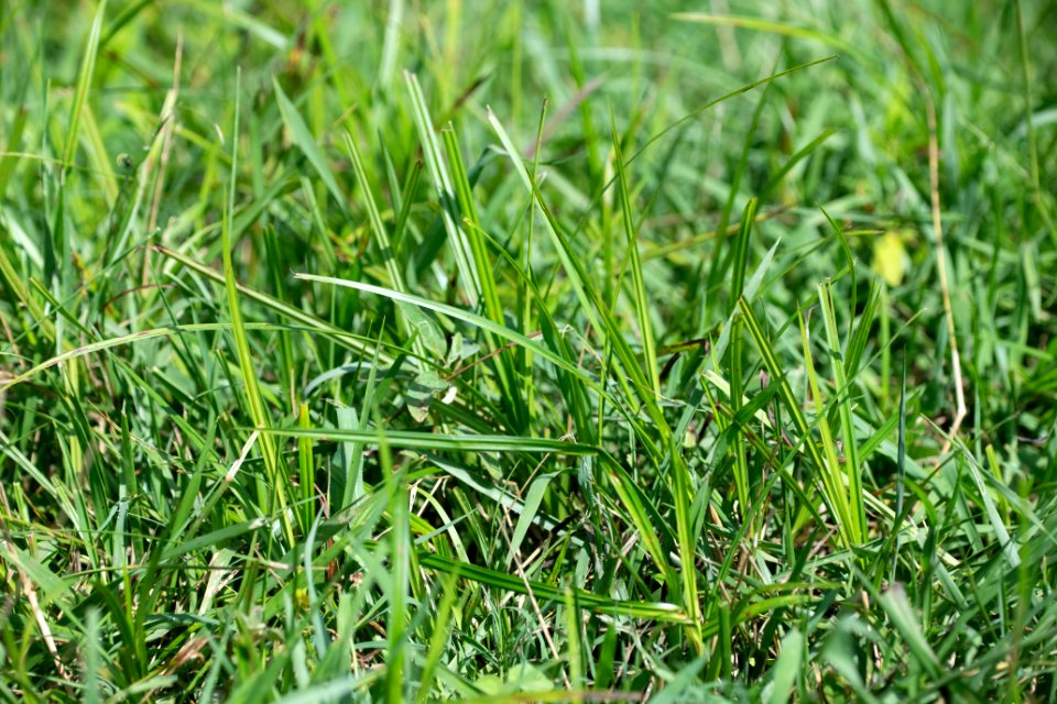 20190627-NRCS-LSC-0493