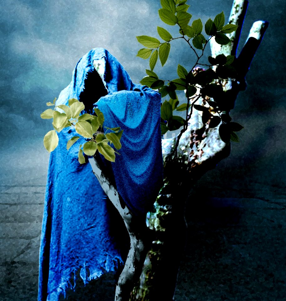 The forgotten cloak