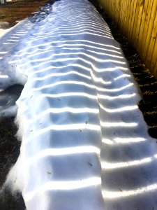 Warped Shadow Lines