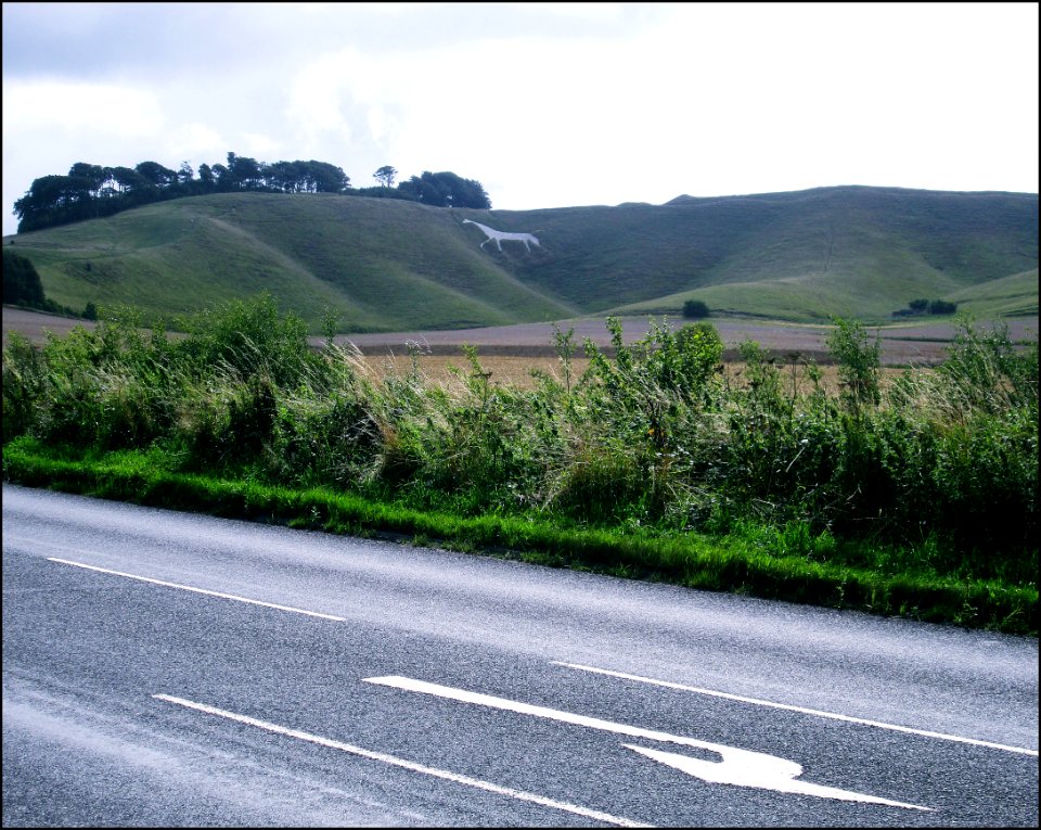 Cherhill White Horse, England, 08 / 2013