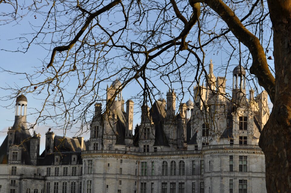 Royal castle roof fireplaces